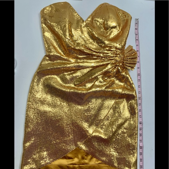 “HOST PICK” Retrofete Caroline Sequined Dress - Picture 12 of 13